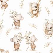 Rodzina koala